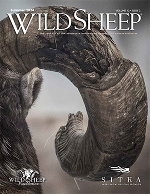 Wild Sheep magazine Summer 2024 Cover